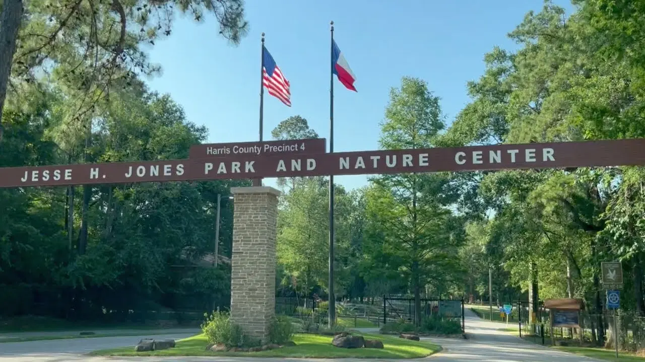 Jesse H. Jones Park & Nature Center - Things To Do in Humble