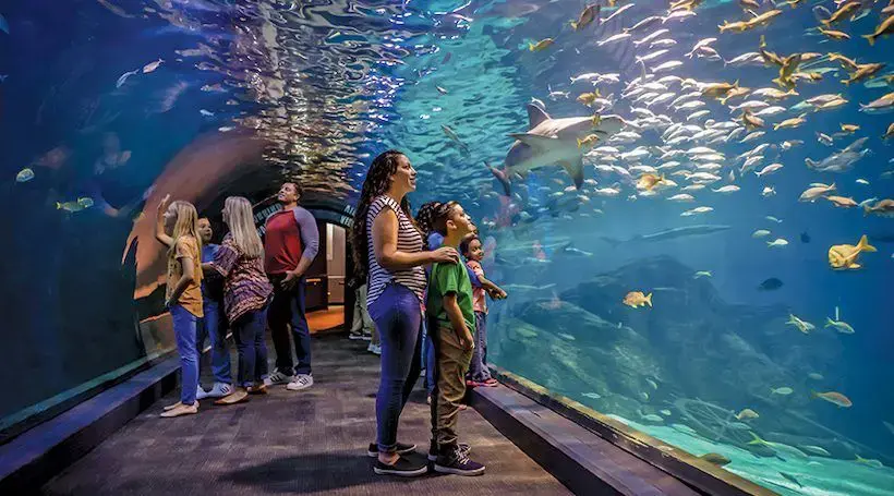 Adventure Aquarium in Candem - day trips from New Jersey